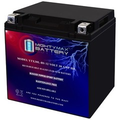 Mighty Max YTX30L-BS Battery for Harley Davidson Electra Glide Classic 2004