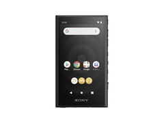 SONY Walkman NW-A306 NW-A307 A series memory type Black Blue Gray Music 2023