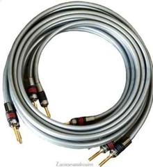 QED Reference XT40i speaker cable (A Pair) Terminated Qed Airloc Metal Forte