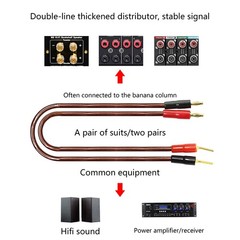 HiFi OFC Speaker Cable with Banana Plug to Pin Type Plug, 4mm Banana Plug to 2mm