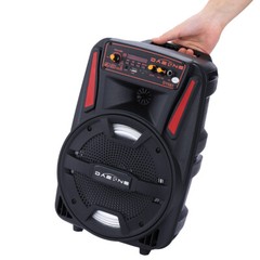 1000W Portable Wireless Bluetooth Speaker Super Bass Stereo Radio FM TF AUX USB