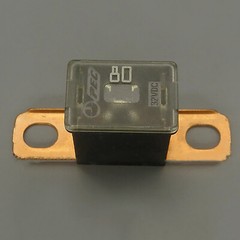 30A/40A/50A/60A/70A/80A/100A/120A Car Main Power Fuse Car Battery Fuse Generator