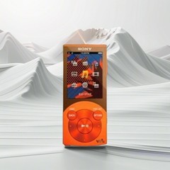 Sony Walkman NW-S644 8GB Digital MP3 Audio Player Japan All Function Tested