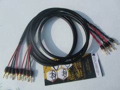 Canare 4S11 Black Bi-Wire Speaker Cable Pair, 2 to 4 DC Pro Locking Gold Banana.