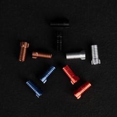 1 Pair New STUDER REVOX Trident Screw Silver Sleeves Screw Diameter 3.5mm