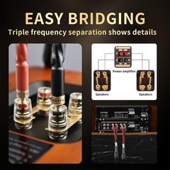 12 AWG 2Pack Audiophile Speaker Cable – Speaker Wire with Banana Plugs, 4N OFC