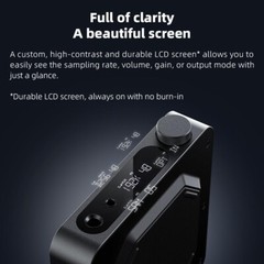 FiiO K11 R2R USB DAC & Headphone Amplifier 1300mW, 384kHz/24Bit DSD256 (Black)