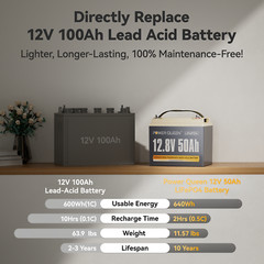 Power Queen 12V 50Ah LiFePO4 Lithium Mini Battery 50A BMS For RV Camper