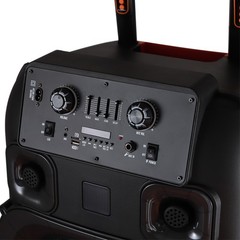 15,00W Dual 15″ Bluetooth Party Speaker Powerful Sound System Party w/ 2 Mic