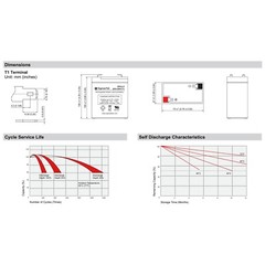APC BACKUPS BK200 UPS Battery Set (Replacement)