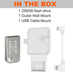 256GB Blink USB Flash Drive and Outlet Wall Mount for Blink Sync Module 2, Local