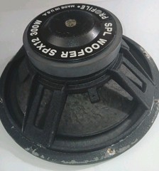 PROFILE SPX12 300 Watt SPL Subwoofer U.S.A.