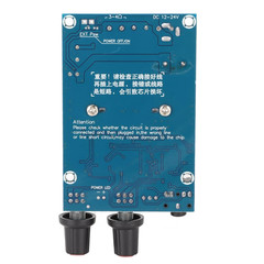100W Digital Amplifier Board Subwoofer Amp Module for DIY Speaker 12 to 24V Powe