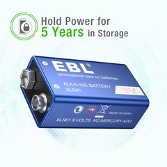 9V 9-Volt Alkaline Battery Batteries 6LR61 E-Block 6AM6 EN22 Long Lasting Lot