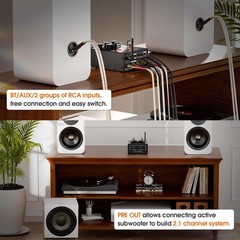 Douk Audio Bluetooth Tube Amp: 300W x2 TPA3255 2 Channel Stereo Power Amplifi…