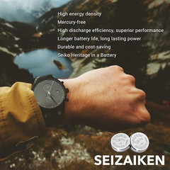Seizaiken 373 SR916SW 1.55V 0%Hg Silver Oxide Watch Battery – Wholesale